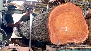 Large mahogany wood ready to be cut using a bandsaw machine