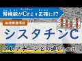 【より正確!?】腎機能の評価に役立つシスタチンCについて【腎臓内科医が解説】
