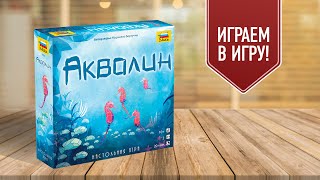 АКВАЛИН: Играем в дуэльную настольную игру