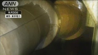 地下水が建屋地下に流れ込む映像　東電が公開(13/09/05)