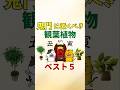 鬼門に置くべき観葉植物ベスト5【風水アドバイザーがご紹介】#shorts