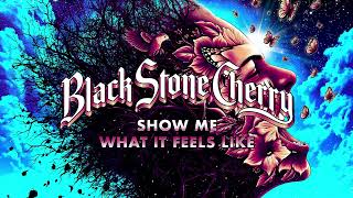 Black Stone Cherry - Show Me What It Feels Like (Screamin' At The Sky)