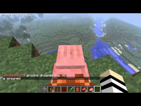 MineCraft: When Pigs