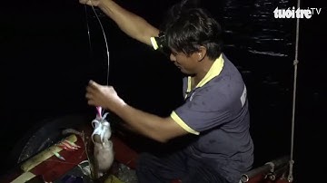 Câu mực đêm ở Côn Đảo