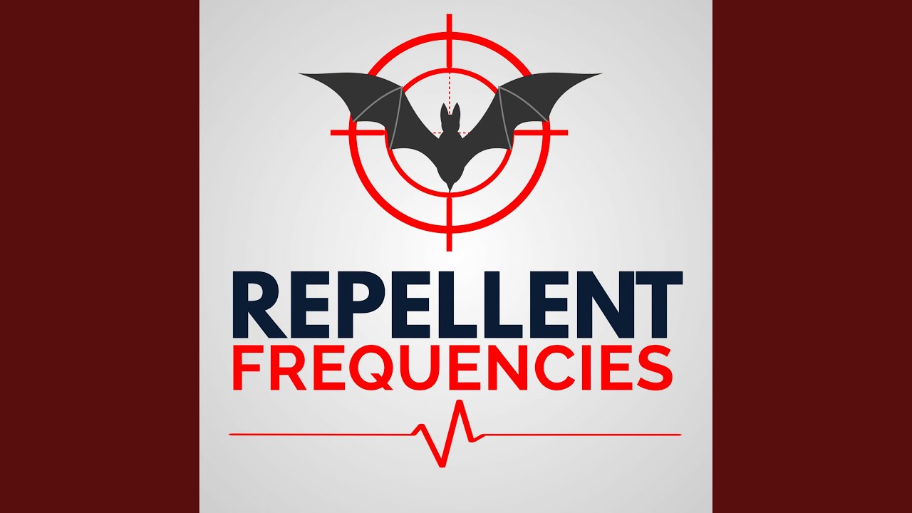 Sounds To Repel Bats YouTube