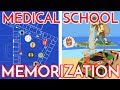 How I Memorized Everything & Aced Medical School | 3 Memory Techniques