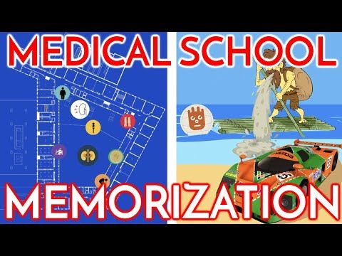 How I Memorized Everything U0026 Aced Medical School | 3 Memory Techniques