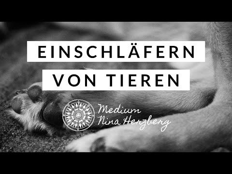 Einschläfern von Tieren