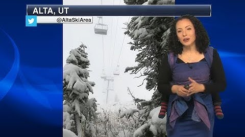 Cette présentatrice météo avait invité le plus mignon des assistants