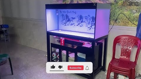 Về Gò Vấp giao bộ HỒ CÔNG NGHỆ PHAO CƠ 1m2 cho anh khách đẹp chai ✌️