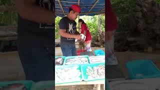 magandang pagbilhan ng ulam fresh#talipapa#province by Josephine vlogs 13 views 1 year ago 1 minute, 4 seconds