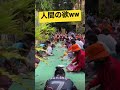 秒で笑えるww#shorts