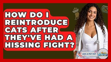 How Do I Reintroduce Cats After They