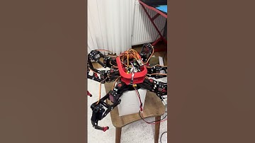Hexapod Robot Walking | Tripod Gait | Raspberry Pi Zero 2W