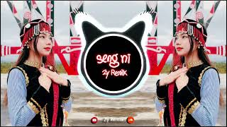 Seng Ni Remix  - Tangpaw Ah Tu