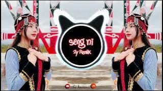 Seng Ni Remix  - Tangpaw Ah Tu