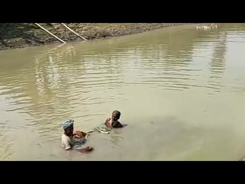 fishing/village fishing, net fishing,fishing damara, fishing golden#fishing #bass #