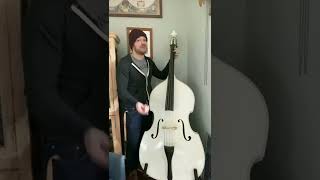 Upright bass (from a guitar player&#39;s perspective)