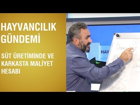 Hayvancılık Gündemi - Karkasta Ve Süt Üretiminde Maliyet Hesabı