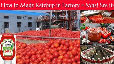 How Tomato Ketchup Is Made, Tomato Harvesting And Processing Process With Modern Technology in 2021