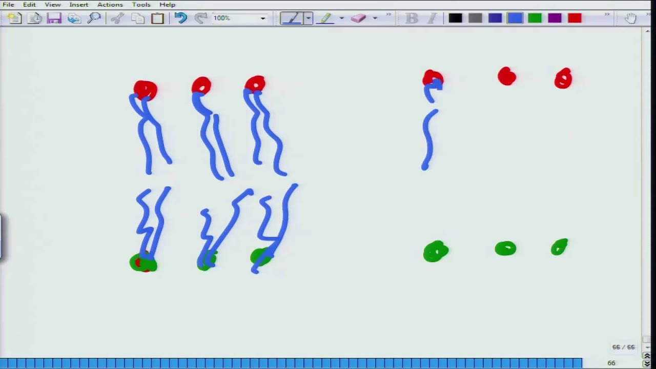 Mod-01 Lec-04 Animal Physiology