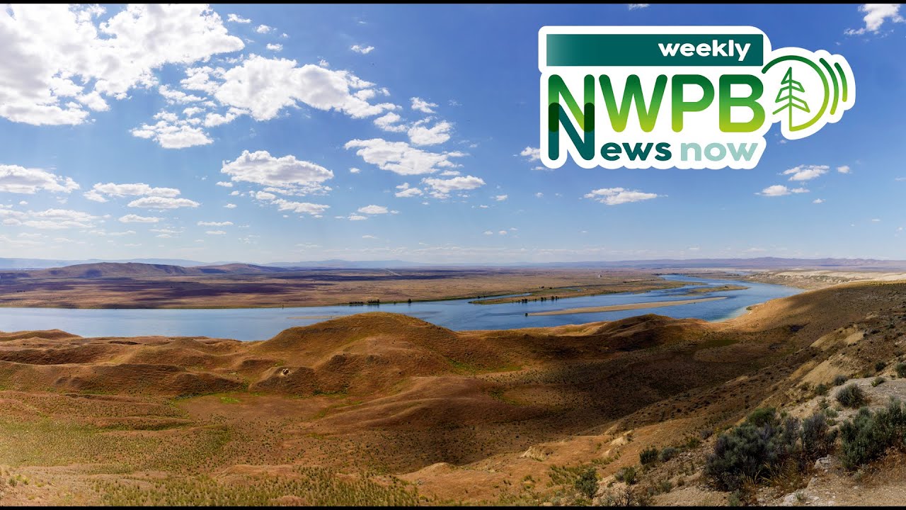 NWPB Weekly News Now - March 29, 2024 - YouTube