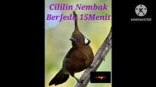 Cililin Nembak Berjeda 15Menit@blogwongkuli