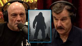 Joe Rogan GOES SILENT After David Paulides Reveals 50 Tribes All Described The Same Creature