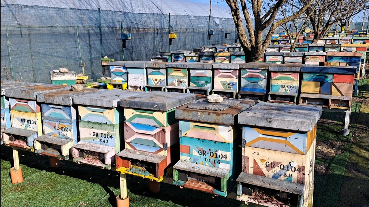 Zbor de curățire. Răspund la comentariile din ultima filmare. 