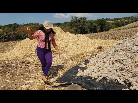 Video: Pēc Nāves Fiziskā Dvēsele Turpina Dzīvot - Alternatīvs Skats