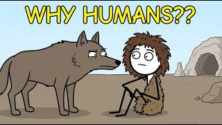 Why Did Wolves Choose Ancient Humans?