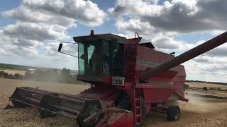 Classic Harvest action 2020...