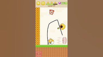 Save The Dog All Levels Gameplay Level 177