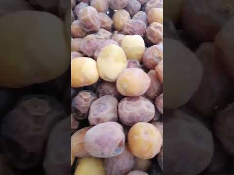 تمر برحي