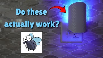 WowCatch Flying Insect Trap Review & TEST