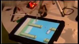 Chinese Robot Plays Flappy Bird