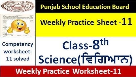 pseb competency based paper class 8th science worksheet 11 test 8th class science weekly sheet 11