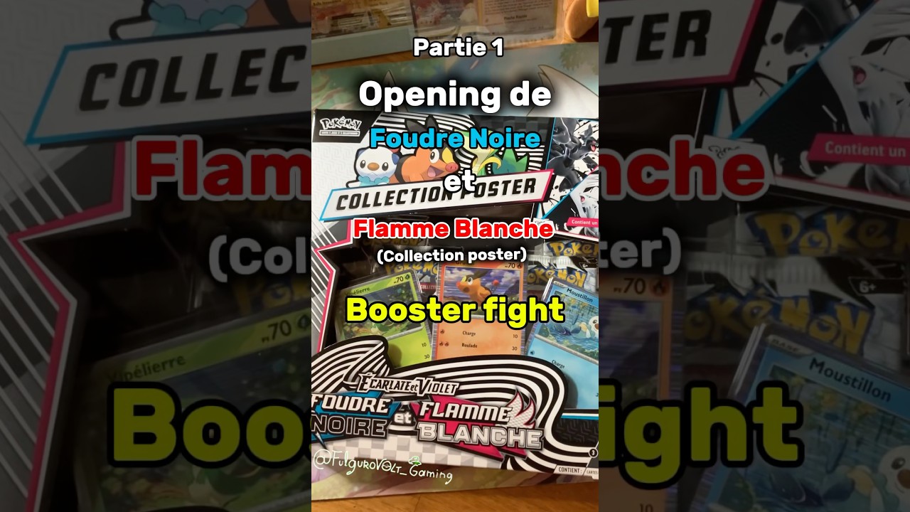 Opening de EV11 (Coffret Collection Poster)+ Booster Fight 