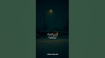 فقلت استغفروا ربكم | القارئ : شريف مصطفى |