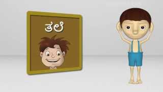 Sareerada avayavagalu | Body parts in kannada | Learn kannada |  by tooniarks screenshot 5