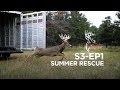 S3 EP1 Summer Rescue