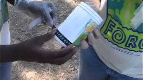 Testing Temperature- World Water Monitoring Challenge