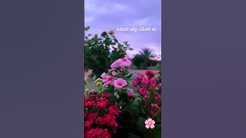 سبحان الله وبحمده 💞 #استغفار #صلوا_على_النبي #لايك #اكسبلور #قران_كريم #أفكار_منزلية #أذكار_الصباح