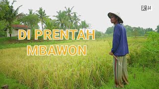 KEY | COMEDY NGAPAK CILACAP | IN THE RULE OF MBAWON