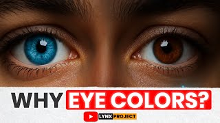 Why Do Humans Have Different Eye Colors The Science Hiding Inside Your Eyes!