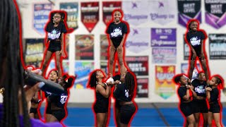 THE MINI'S LEARNED NEW STUNTS.. BUT CAN THEY STICK THEM?