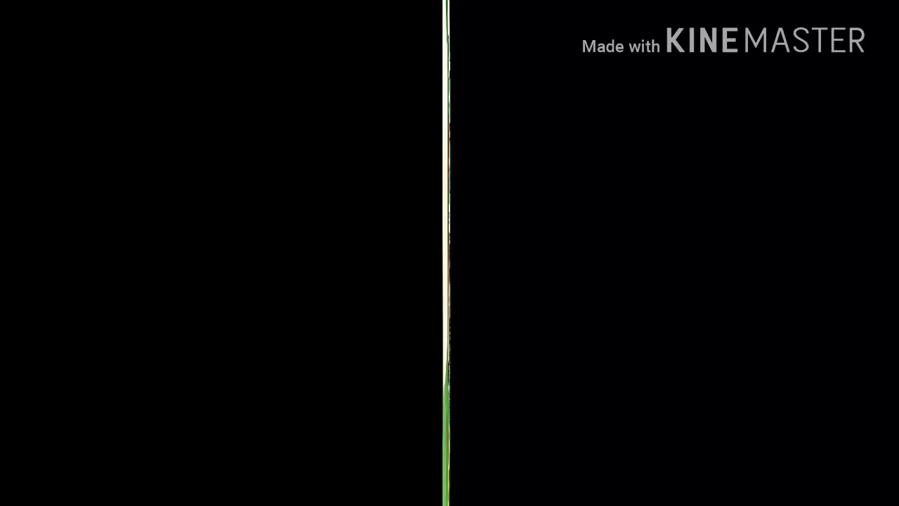 camera iphone 8 plus apk Famil 2
