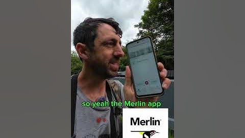 The Merlin Bird app