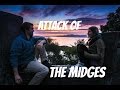 ATTACK OF THE MIDGES!