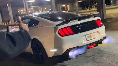 Panda (Official Music Video)